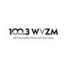 undefined 100.3 WVZM Visible Radio