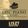 undefined LISZT by Epic Piano