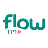 undefined flowFM
