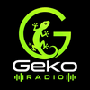 undefined Geko Radio