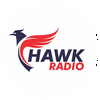 undefined Hawk Radio