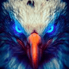 undefined Radio Seeadler