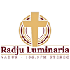 undefined Radju Luminaria