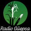 undefined Radio Güepsa