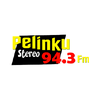 undefined Pelinku Stereo