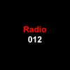 undefined Radio 012