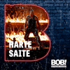 undefined RADIO BOB! BOBs Harte Saite