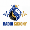 undefined Radio Saxony