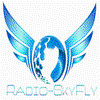 undefined Radio-Skyfly