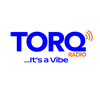 undefined Torq Radio