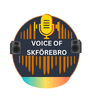 undefined VOSKFO Radio