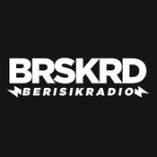 Radio Berisik Radio