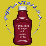 Radio Feflavisalsa