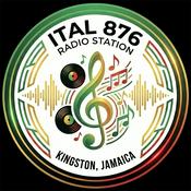 Radio ITAL876