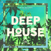 Radio Just Deep House