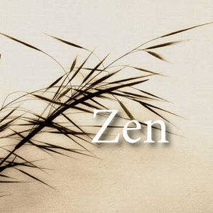 Listen to CALM RADIO - Zen in the App