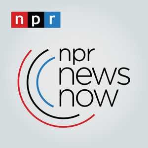 Listen to NPR 24 in the App