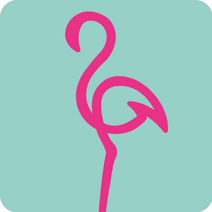 Listen to Radio Flamingo in the App