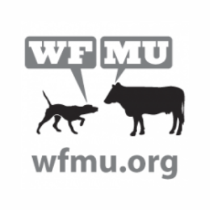 Listen to WMFU FM 91.1 in the App