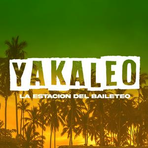 Listen to Yakaleo in the App