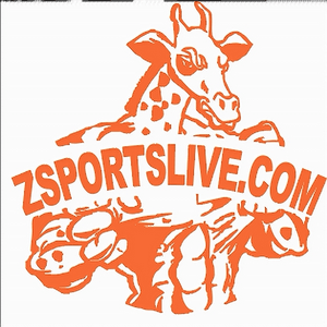 ZSPORTSLIVE.COM