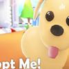 undefined Adopt me podcast