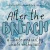 undefined After the Breach Podcast