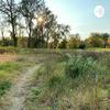 undefined Agroforestry?