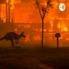 undefined Australia Wildfires Podcast