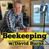 undefined Mysteries of Honey Bees