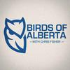 undefined Birds of Alberta with Chris Fisher