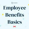 undefined Employee Benefits Basics
