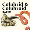 undefined Colubrid & Colubroid Radio