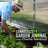 undefined Connecticut Garden Journal