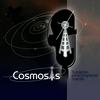 undefined Cosmosis