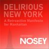 undefined 《癫狂纽约》Delirious New York