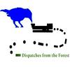undefined Dispatches from the Forest