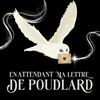 undefined En attendant ma lettre de Poudlard