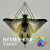 undefined Entomophonie