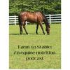 undefined Farm To Stable: An Equine Nutrition Podcast (TM)