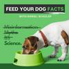 undefined Feed Your Dog Facts