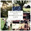 undefined Figuring Out Homestead Life