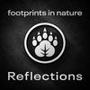 undefined Footprints In Nature: Reflections
