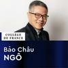 undefined Formes automorphes (chaire internationale) - Bảo Châu Ngô