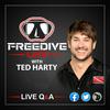 undefined Freedive Live