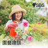 undefined Gardening Tips - 園藝趣談