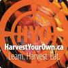 undefined Harvest Your Own Podcast