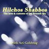 undefined Hilchos Shabbos with Ari Goldwag