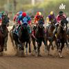 undefined Horse Racing