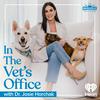 undefined In The Vet's Office with Dr. Josie Horchak
